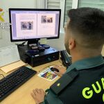 Un agente de la Guardia Civil, durante la investigación