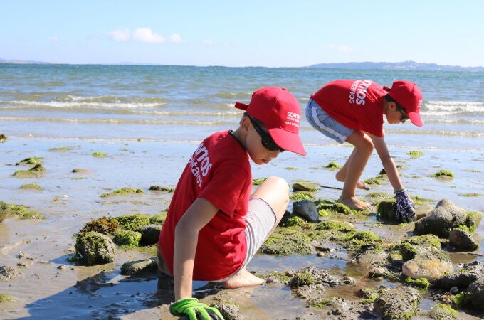 Santander Natura, un programa de voluntariado que ofrece la oportunidad a los empleados de la entidad y sus familias de poner su granito de arena en la conservación de nuestros ecosistemas.