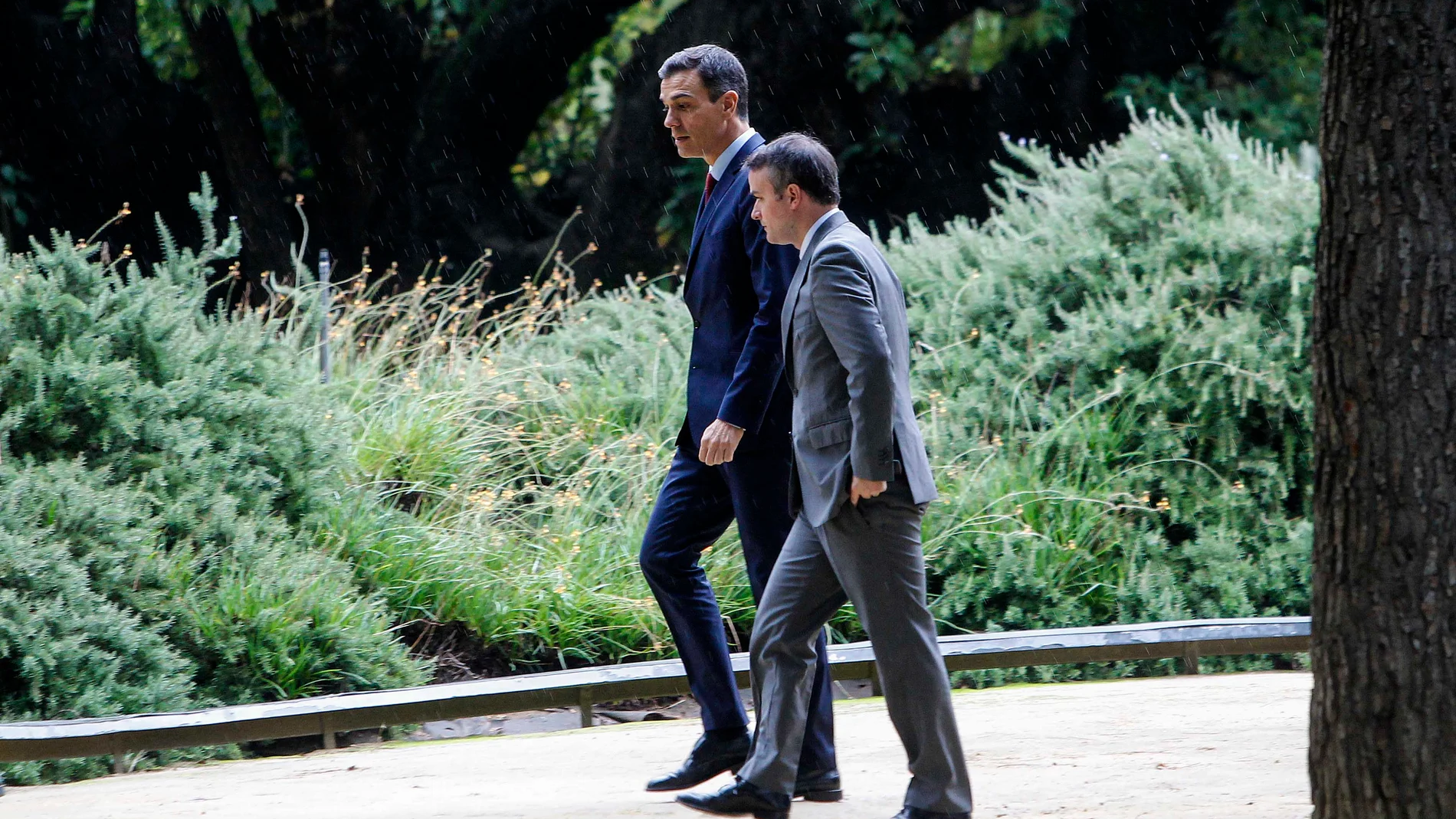 Pedro Sánchez ofreció a Iván Redondo ser ministro en un paseo por los jardines de Moncloa Foto: Manuel Olmedo