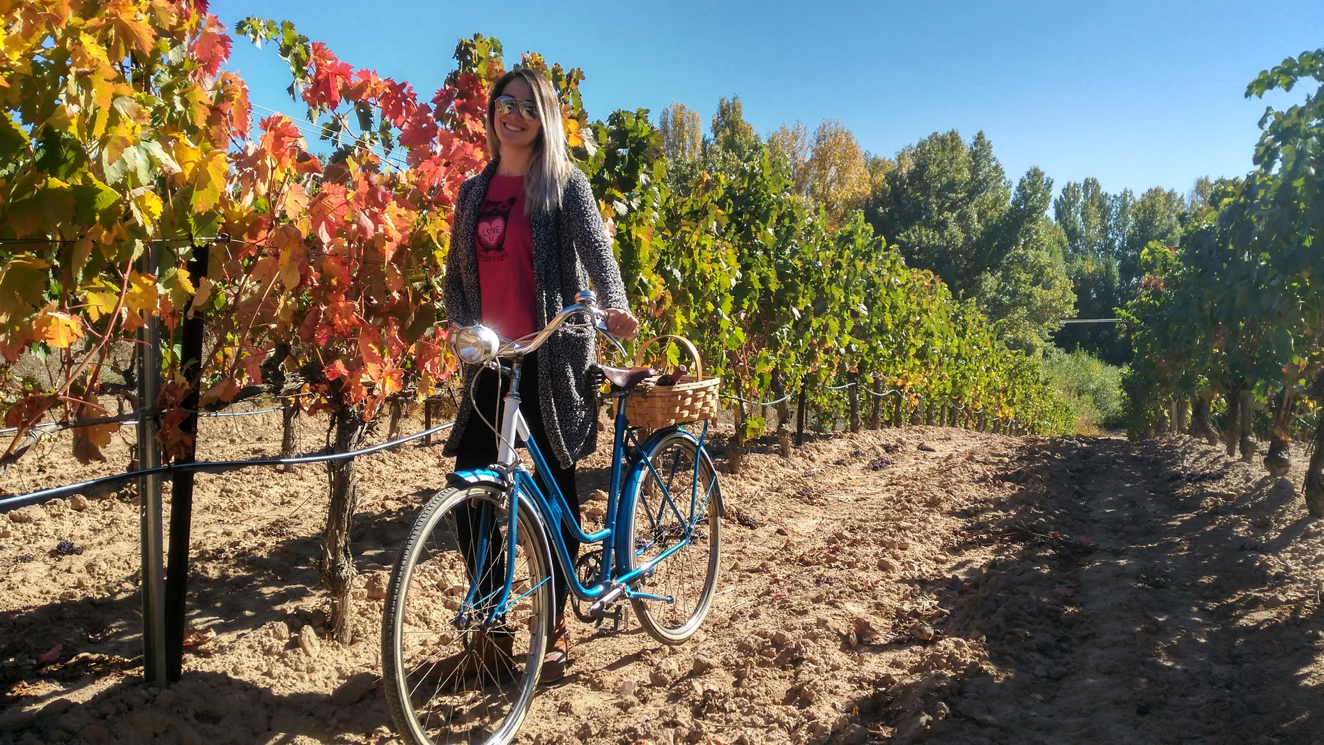 Ruta enoturística que organiza el Ayuntamiento de Valladolid