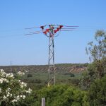 Uno de los apoyos, ya aislado, del tendido eléctrico corregido en la provincia de Jaén