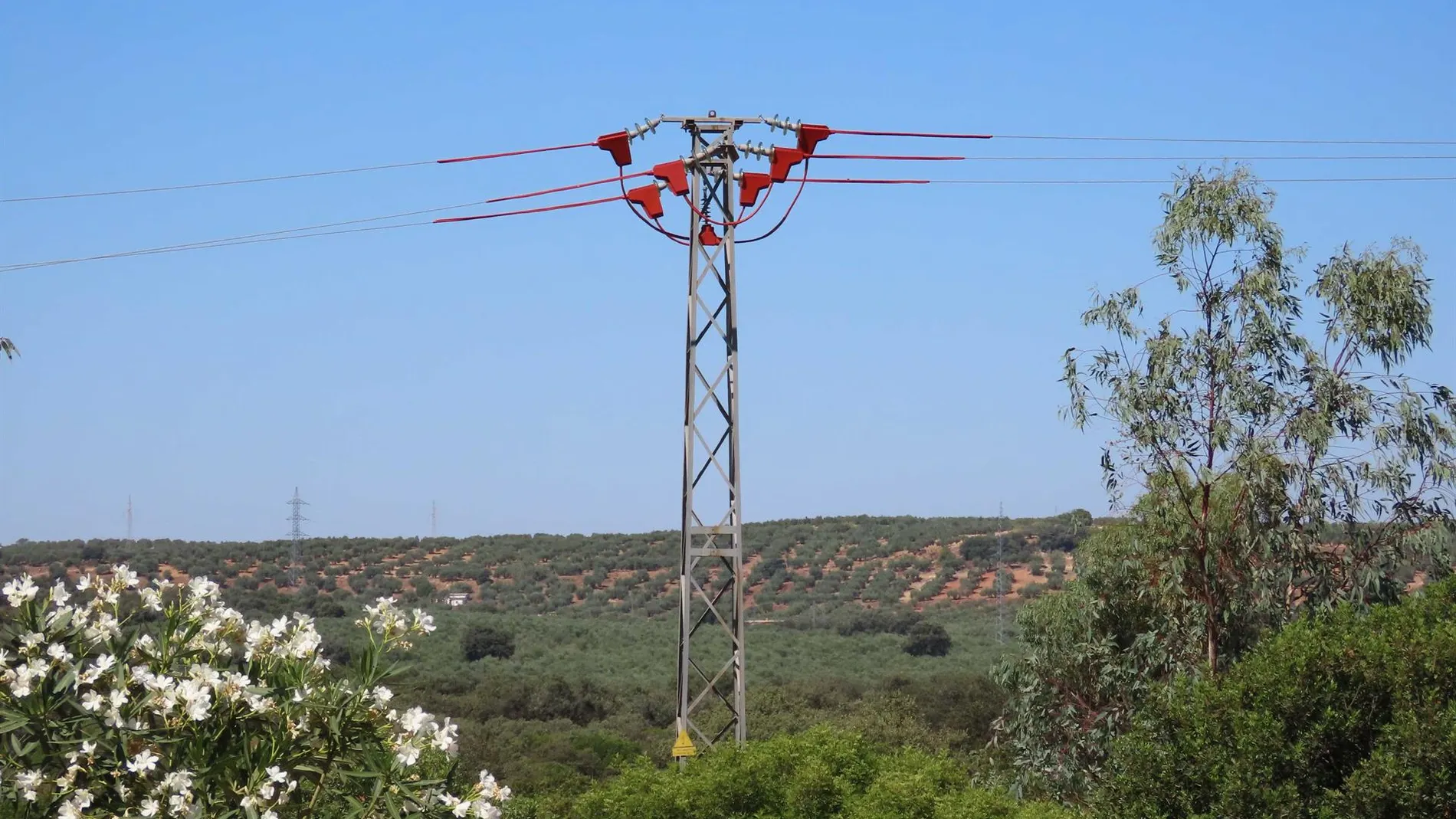 Uno de los apoyos, ya aislado, del tendido eléctrico corregido en la provincia de Jaén