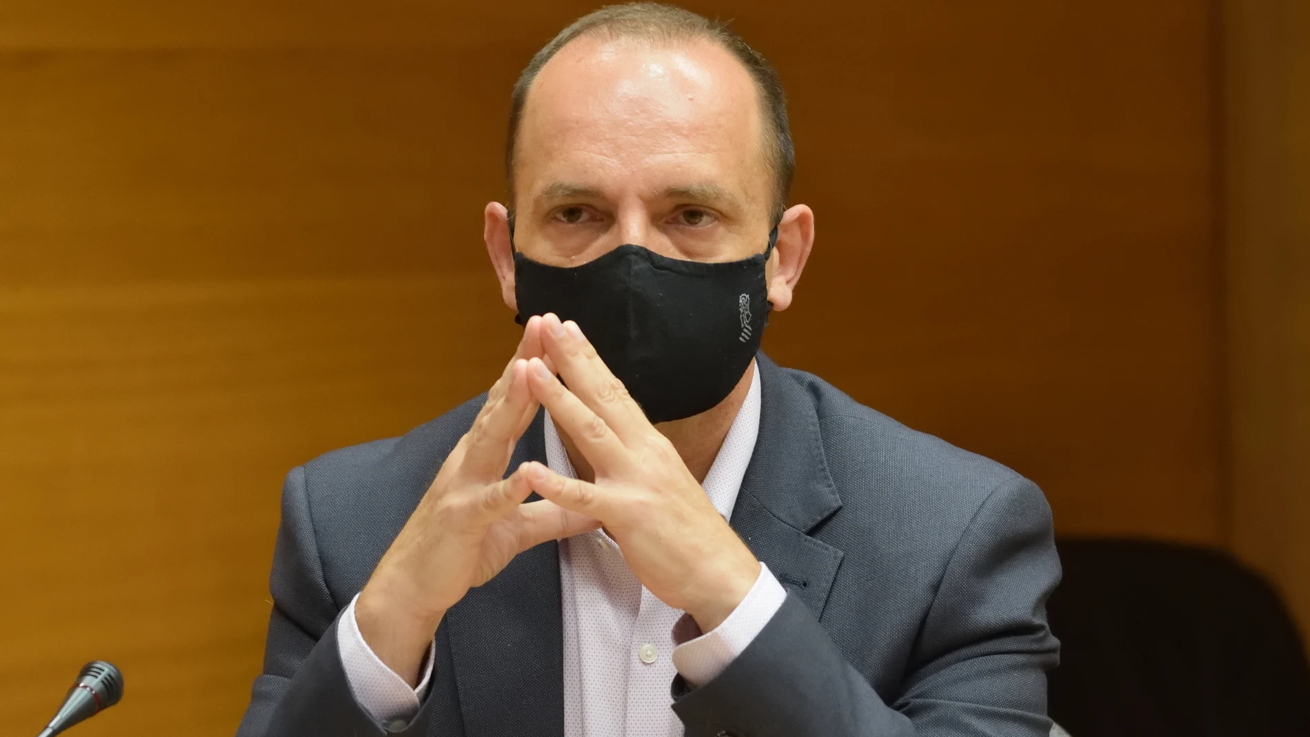 El vicepresidente, Martínez Dalmau, esta mañana en Les Corts