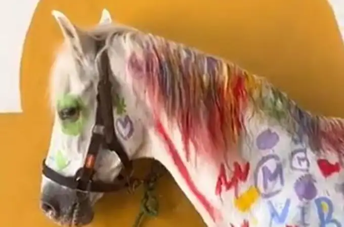 Pintar sobre la piel de un caballo, la “cruel” actividad infantil que indigna a las redes sociales