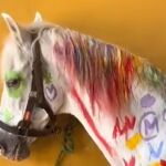 Captura del vídeo en el un grupo de niños pinta sobre la piel de un caballo