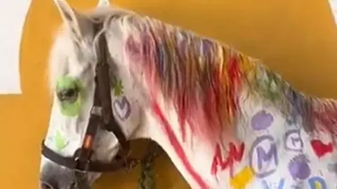 Captura del vídeo en el un grupo de niños pinta sobre la piel de un caballo