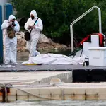 Forenses trasladan los cuerpos de tres turistas víctimas del naufragio de una lancha en Isla Mujeres, estado de Quintana Roo (México)