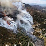 Imágenes del incendio en Llançà (Girona)