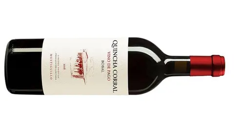 Quincha Corral 2016, de Bodegas Mustiguillo. D.O: Pago el Terrerazo.