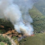 Declarado nivel 1 un incendio en Candeleda (Ávila) que afecta a una zona arbolada