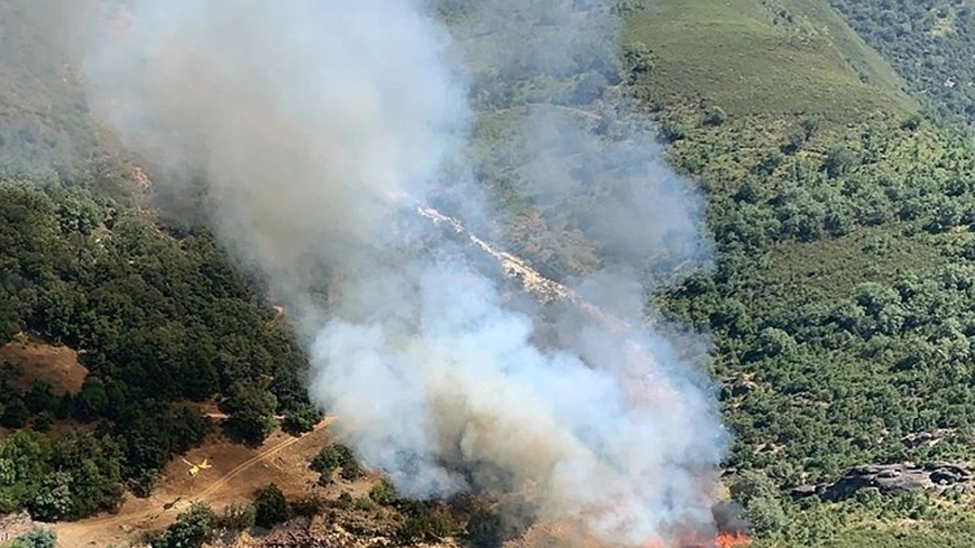 Declarado nivel 1 un incendio en Candeleda (Ávila) que afecta a una zona arbolada