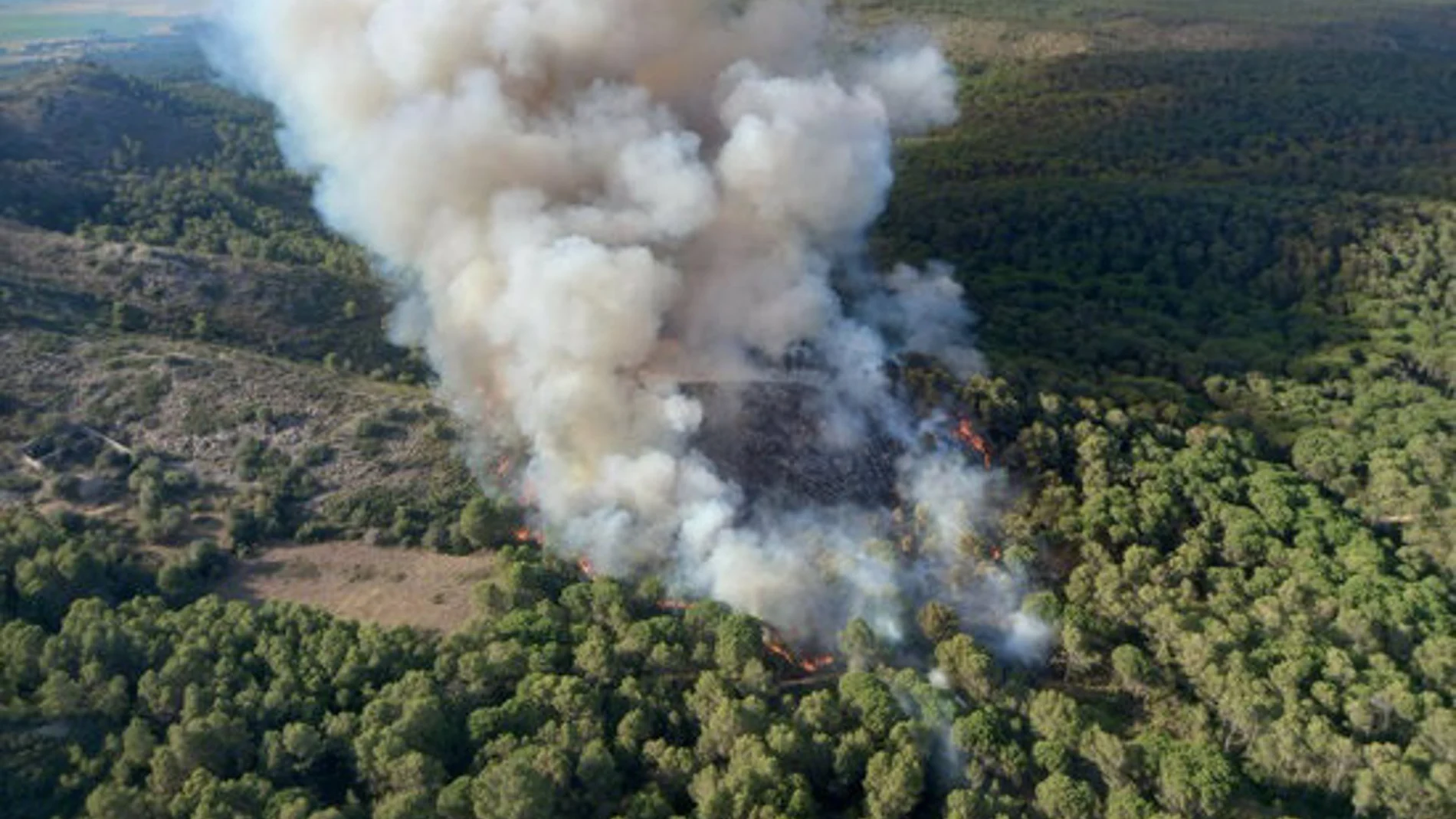 Imagen aérea del incendio en Torroella de Montgrí