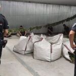 Imagen de la operación facilitada por la Policía Local