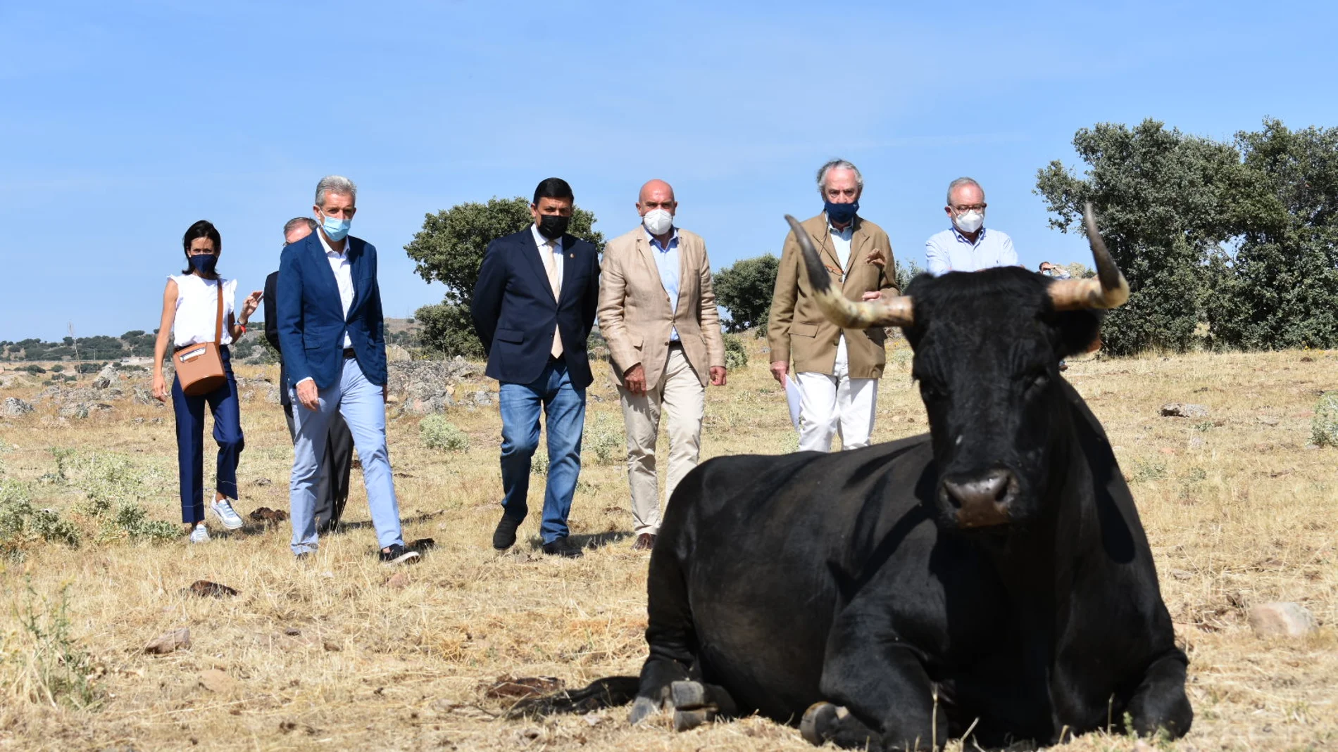 El consejero de Agricultura, Ganadería y desarrollo Rural, Jesús Julio Carnero, visita en Cardeñosa las fincas y cebaderos donde se crían ejemplares de raza avileña amparados por la IGP Carne de Ávila