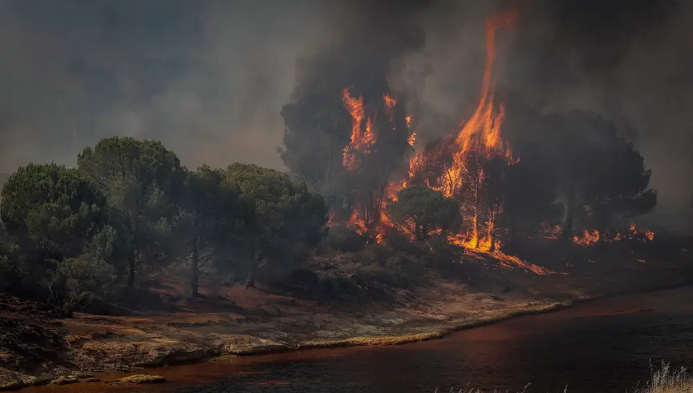 VILLARRASA (HUELVA), 24/07/2021.- El incendio forestal que se ha iniciado esta tarde en Villarrasa avanza hacia la provincia de Sevilla, con más de 120 efectivos del Infoca y 15 medios aéreos en la zona, y después de entrar en los términos municipales de las localidades onubense de Villalba del Alcor y La Palma del Condado. EFE/José Manuel Vidal