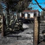 Zona quemada en el incendio forestal declarado a primera hora de la tarde de ayer en Villarrasa (Huelva)