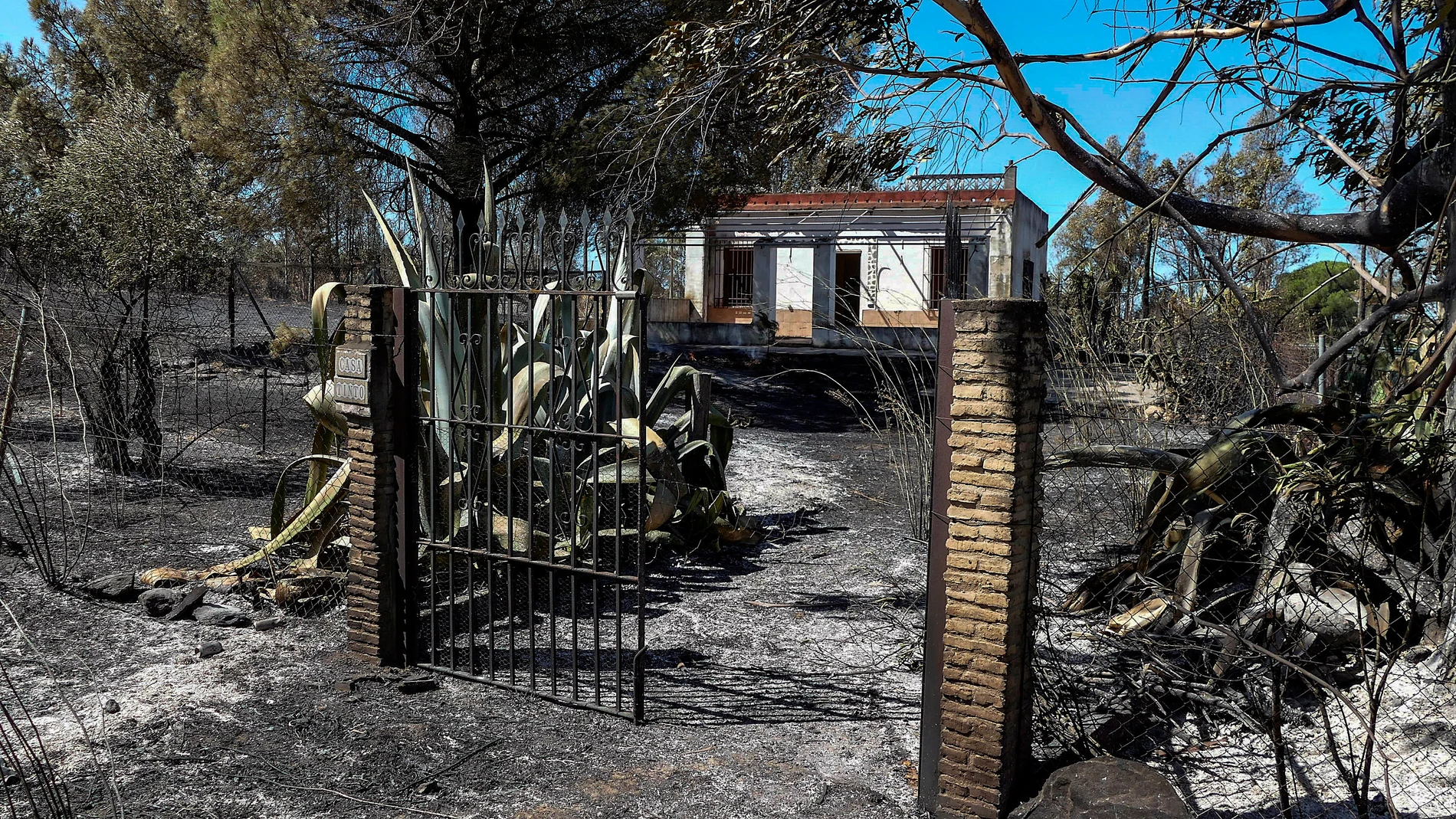 Zona quemada en el incendio forestal declarado a primera hora de la tarde de ayer en Villarrasa (Huelva)