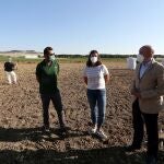 El consejero de Agricultura, Ganadería y Desarrollo Rural, Jesús Julio Carnero, visita dos explotaciones de patatas en el momento de la recolección junto a productores, mayoristas y representantes de grandes almacenes