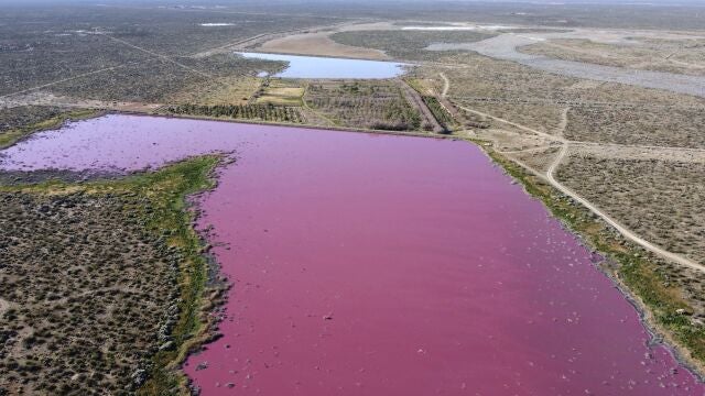Algunos medios locales han culpado a un consorcio de la capital regional de Rawson, sugiriendo que vertió productos químicos allí
