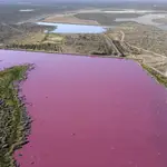  Un lago se vuelve de color rosa por culpa de la alta contaminación en Argentina