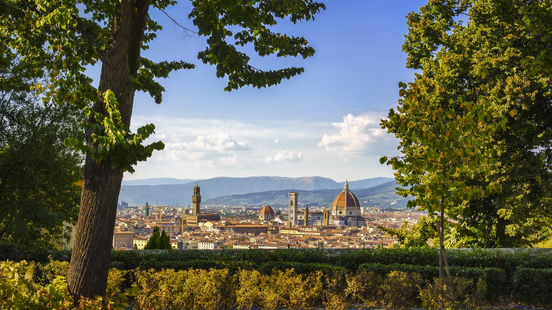 Vista aérea de Florencia.