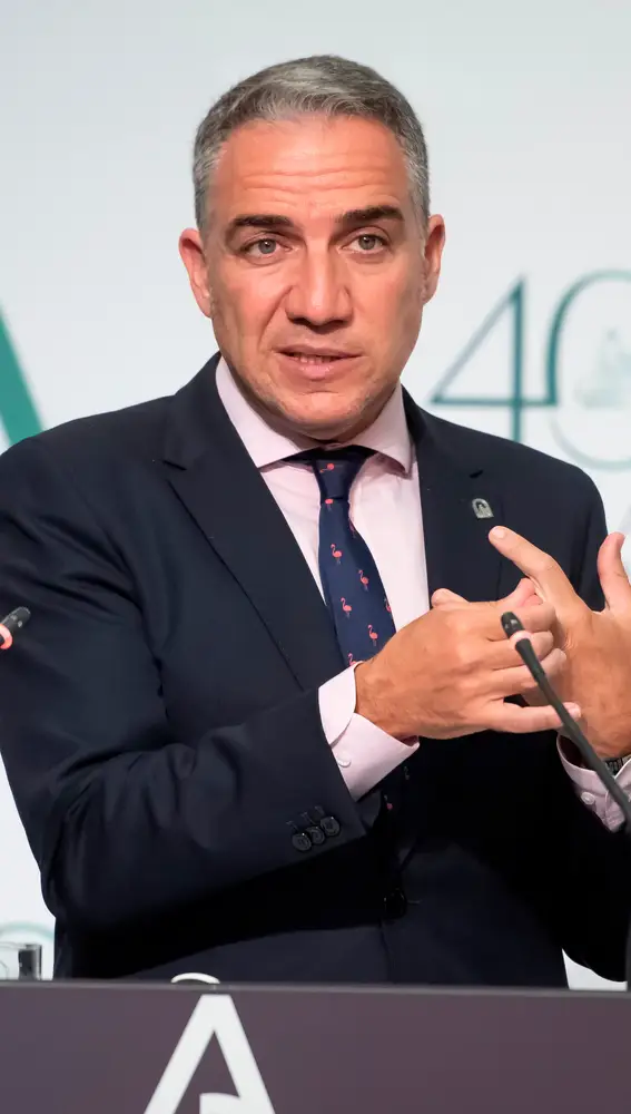 El portavoz del Gobierno andaluz, Elías Bendodo. EFE/ Raúl Caro.