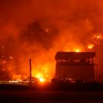 Ocho personas han muerto en los incendios que han arrasado las regiones costeras del suroeste de Turquía, obligando a evacuar a decenas de miles de personas