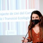 La consellera de Agricultura, Desarrollo Rural, Emergencia Climática y Transición Ecológica, Mireia Mollà, llevó a cabo el anteproyecto de Ley del Cambio Climático y Transición Ecológica que ahora da lugar a este nuevo plan.