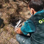 Proyectil de artillería hallado por la Guardia Civil en Palencia