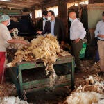 Los senadores del Partido Popular por Palencia, Rodrigo Mediavilla, Jorge Domingo Martínez y Carmen Fernández, visitan los lavaderos de lana de Paredes de Nava (Palencia)