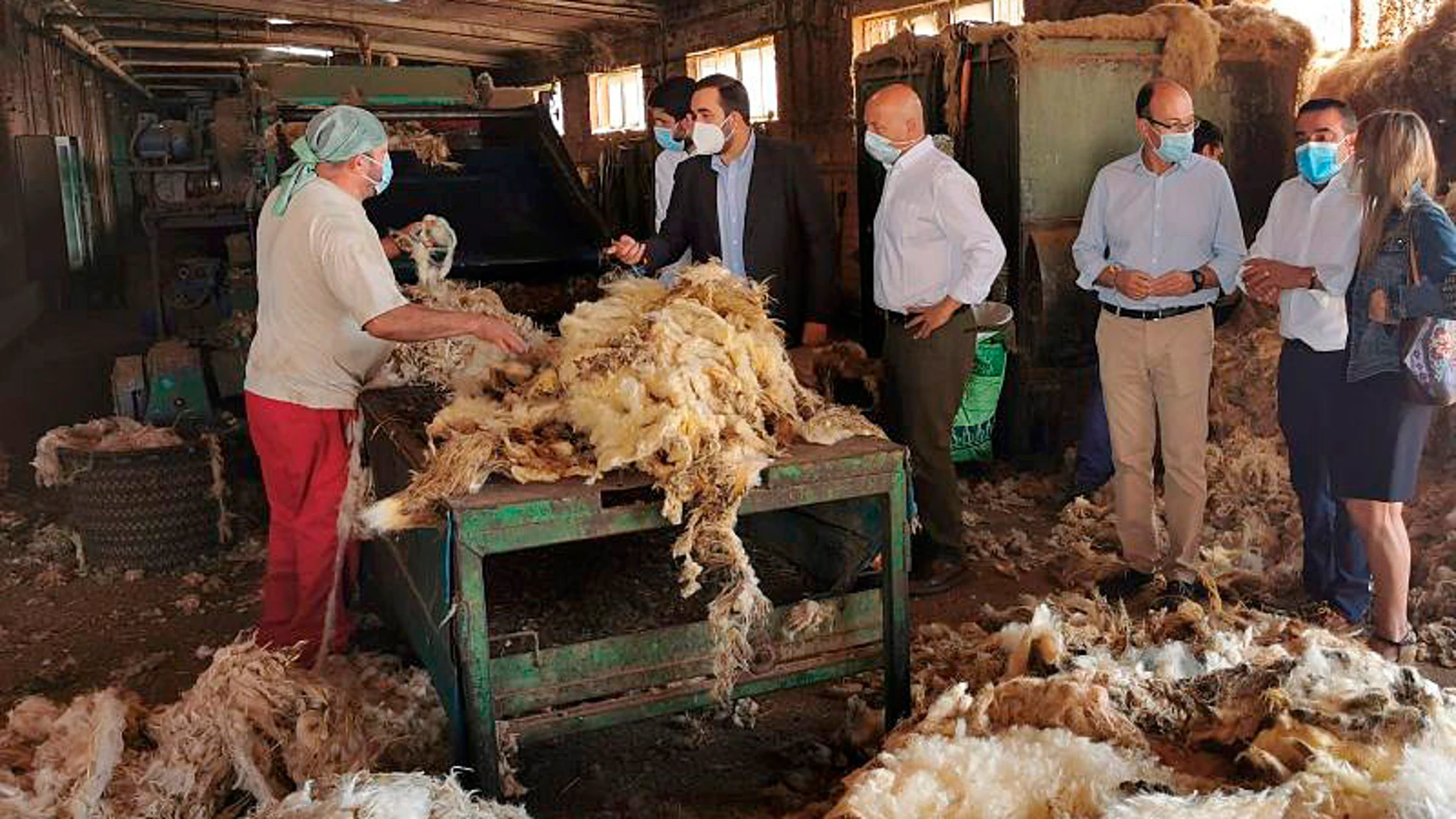 Los senadores del Partido Popular por Palencia, Rodrigo Mediavilla, Jorge Domingo Martínez y Carmen Fernández, visitan los lavaderos de lana de Paredes de Nava (Palencia)