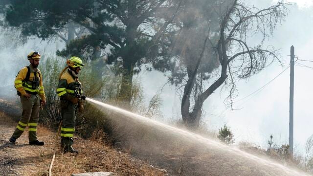 Dos bomberos en tareas de extinción en la provincia de Ávila