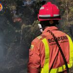 Incendio forestal en Rafelguaraf