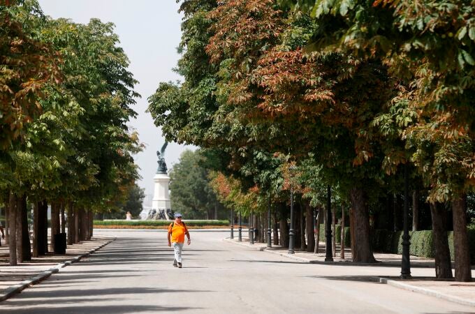 Un hombre pasea por el Parque del Retiro de Madrid