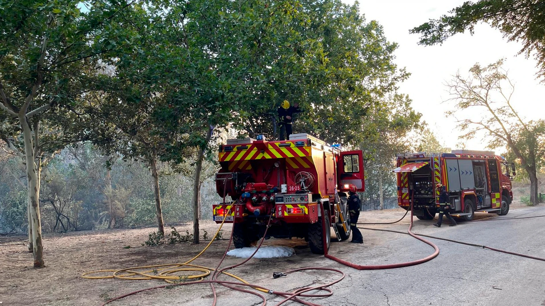 Los bomberos intentan sofocar el incendio de pastos que se ha declarado en la localidad madrileña de Batres