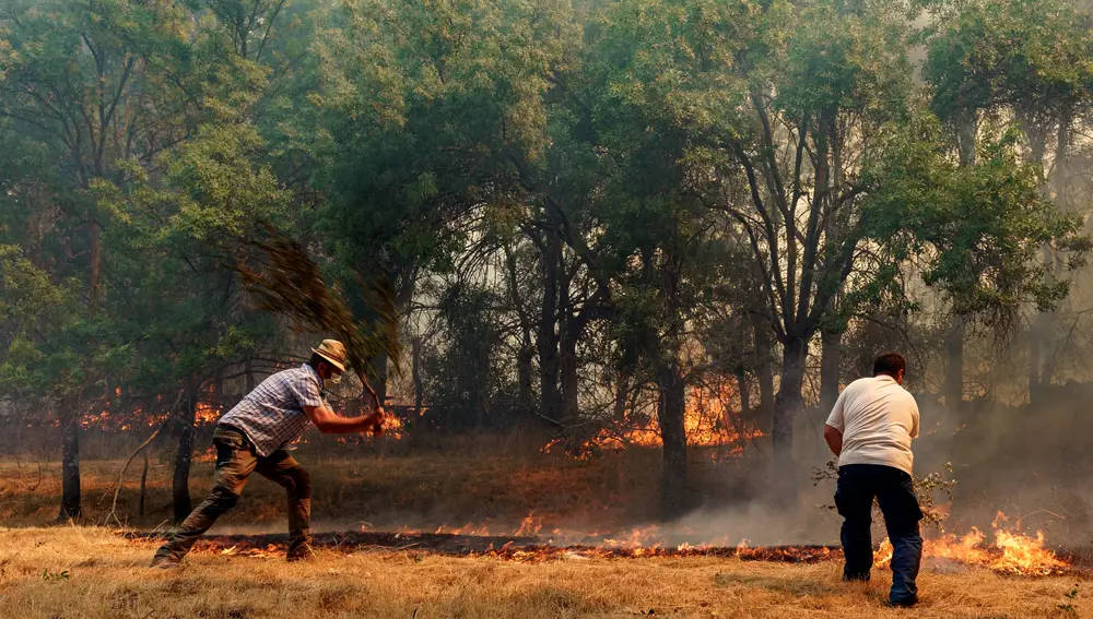 Peligro de incendios forestales en Castilla y León
