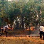 Peligro de incendios forestales en Castilla y León