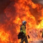 Incendio en San Felices de Gallegos (Salamanca)