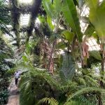 Paseo fresquito en el Botánico