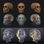 Reconstrucción forense del niño de Taung hecha por Cicero Moraes en 2012