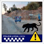 La Policía Local de Cieza pide extremar las precauciones hasta que se localicen a los animales. No circular por la zona y antes cualquier noticia o avistamiento, se avise al 112.