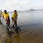 Trabajadores municipales retiran los peces muertos del Mar Menor