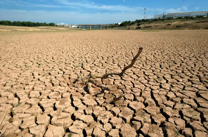 La quinta parte de la tierra en España ya está desertificada