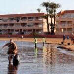 Operarios en las labores de limpieza en la playa de Puerto Bello de La Manga del Mar Menor (Murcia), tras diez días de aparición de peces muertos en la orilla por falta de oxígeno