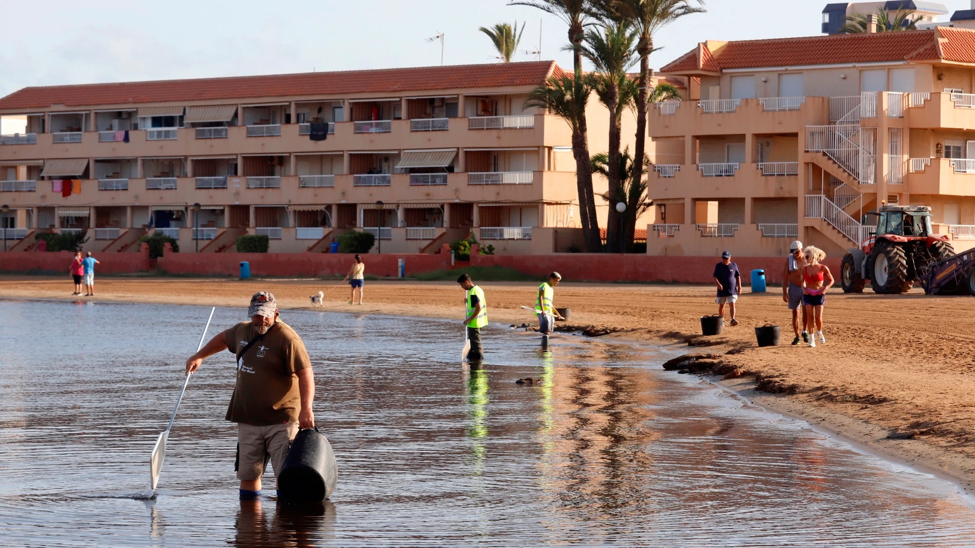 Operarios en las labores de limpieza en la playa de Puerto Bello de La Manga del Mar Menor (Murcia), tras diez días de aparición de peces muertos en la orilla por falta de oxígeno