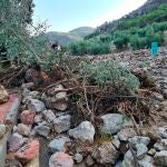 Efectos de las lluvias en Jaén