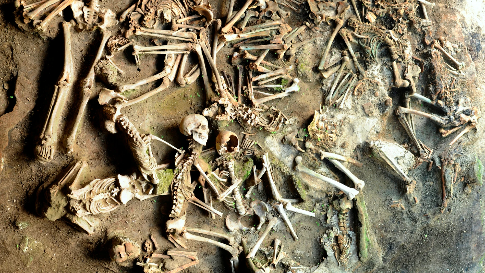 Restos óseos de víctimas de la erupción del Vesubio en Herculano. EFE/ Luciano Fattore/ Spienzia Università di Roma.