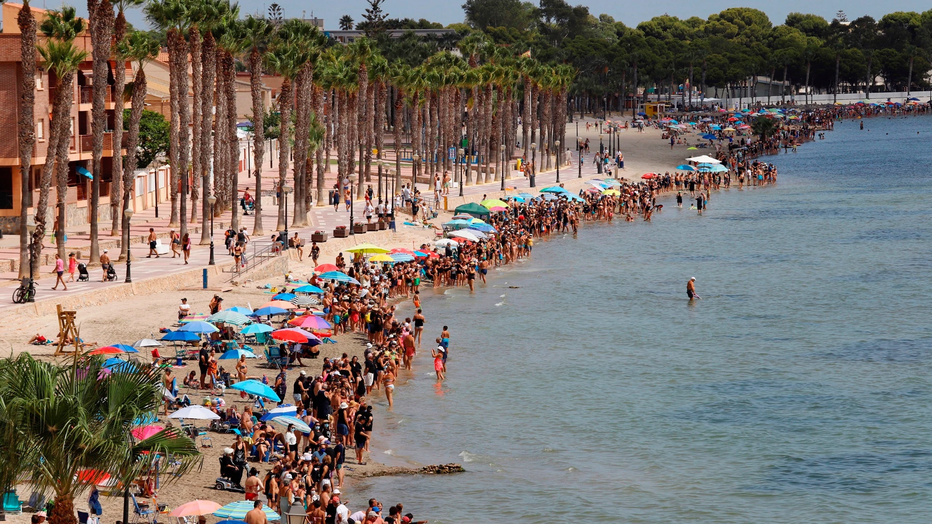 Miles de murcianos se han dado cita en las orillas del Mar Menor, formando una cadena humana y guardando luto a la laguna salada.