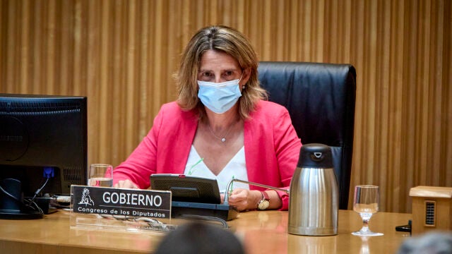 La ministra de Transición Ecológica y Reto Demográfico, Teresa Ribera, hoy en el Congreso