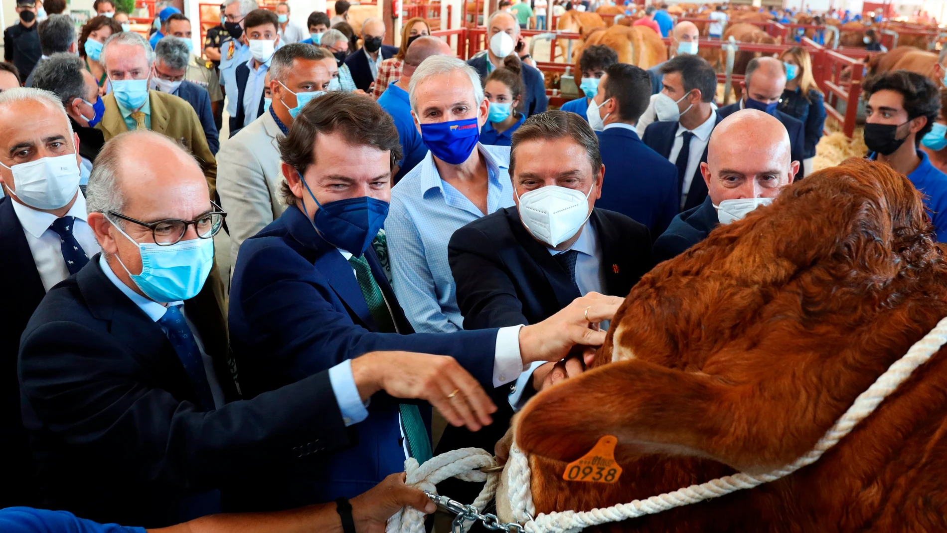 El presidente de la Junta de Castilla y León, Alfonso Fernández Mañueco (c), acompañado del Ministro de Agricultura, Pesca y Alimentación, Luis Planas (2d), el consejero de Agricultura, Ganadería y Desarrollo Rural, Jesús Julio Carnero y el presidente de la Diputación de Salamanca, Javier Iglesias (i), durante la inauguración de la Feria del Sector Agropecuario y 32 Exposición Internacional de Ganado Puro Salamaq 2021